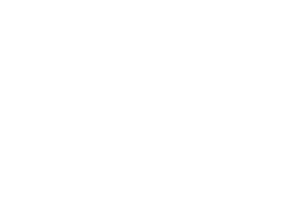 Seal Shield